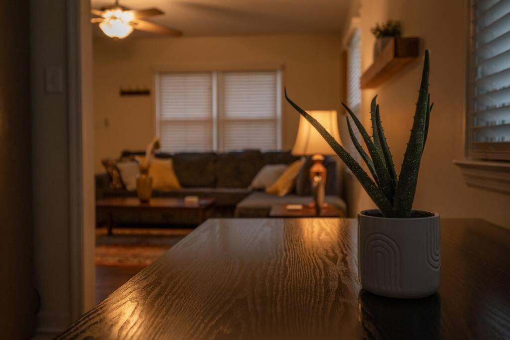 Cozy 3 Bedroom Cottage With Huge Fenced-In Yard 罗利 外观 照片